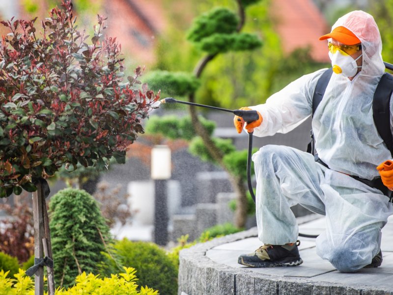 Bandırma Haşere İlaçlama