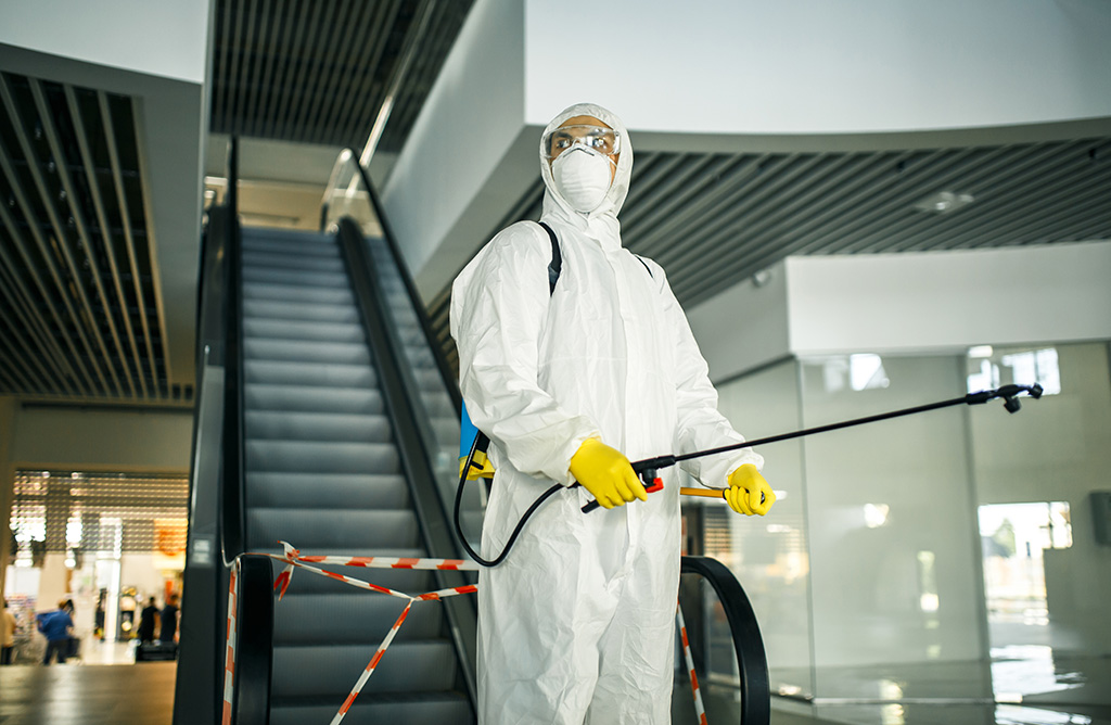 Bandırma Haşere İlaçlama